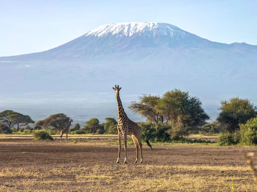Kenya Safari Discovery — photo 2