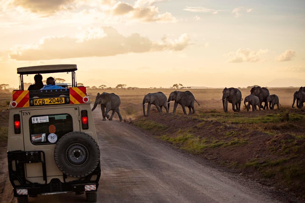 Kenya Safari Discovery — photo 7