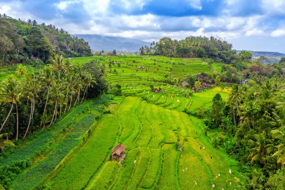 Enchanting Bali — photo 3