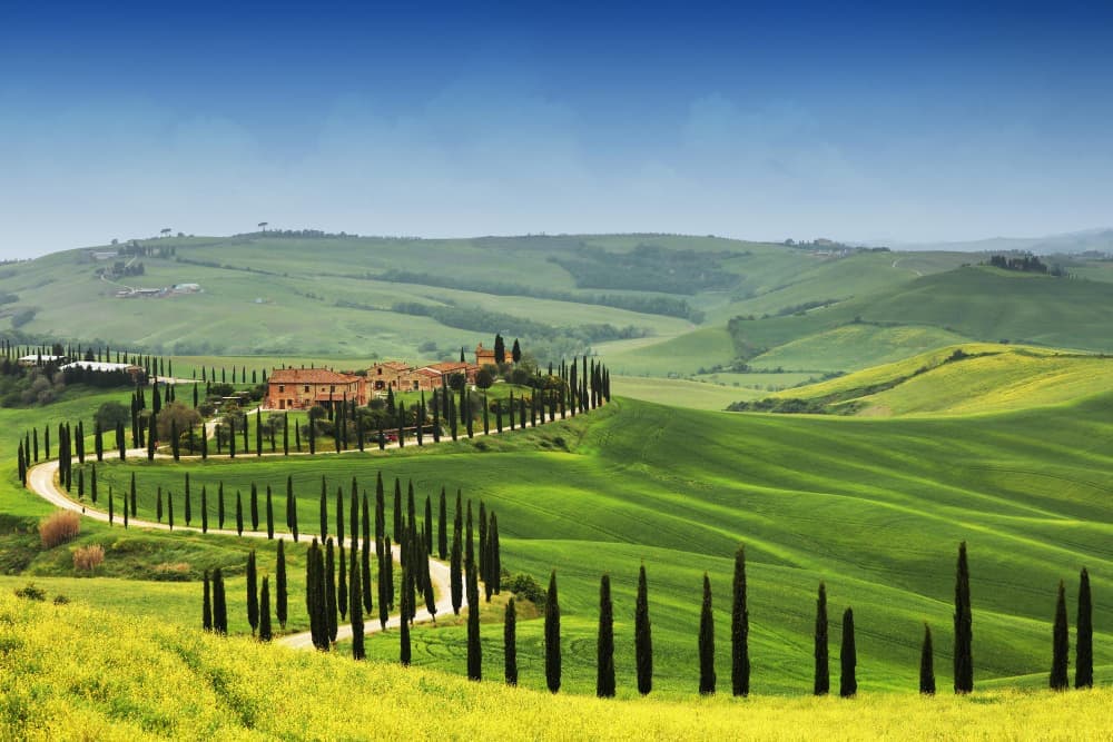 Italy Tour Package | 7 Days Rome, Florence & Venice — photo 4