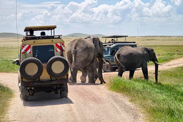 Amboseli National Park – Home of Africa's Giant Elephants