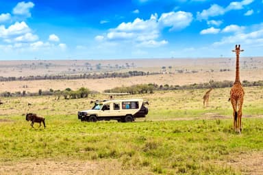 Kenya photo 4