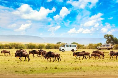 Kenya photo 5