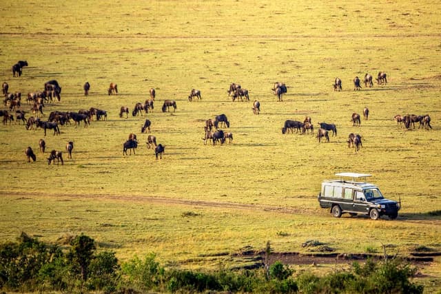 Maasai Mara National Reserve – Kenya's Ultimate Safari Destination