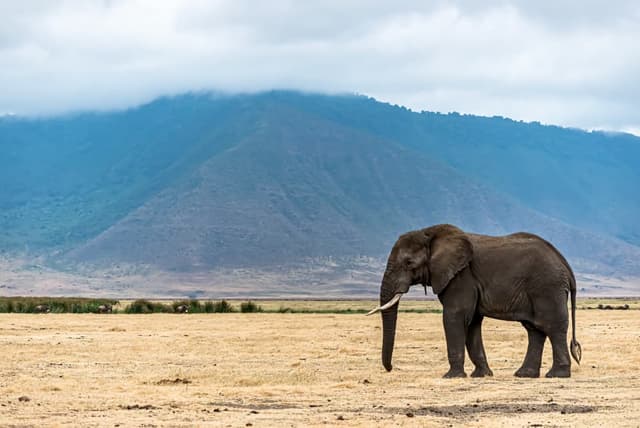 Mount Kenya National Park – Adventure Among Africa's Highest Peaks