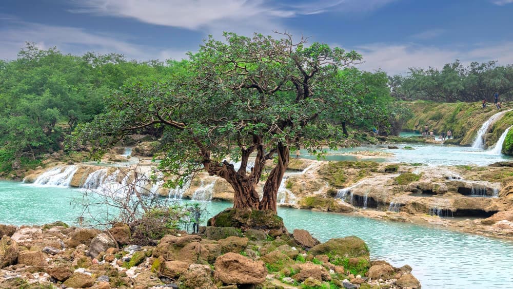 Salalah Khareef Escape — photo 1