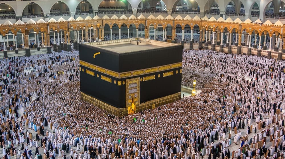 Splendid Umrah Bus — photo 1