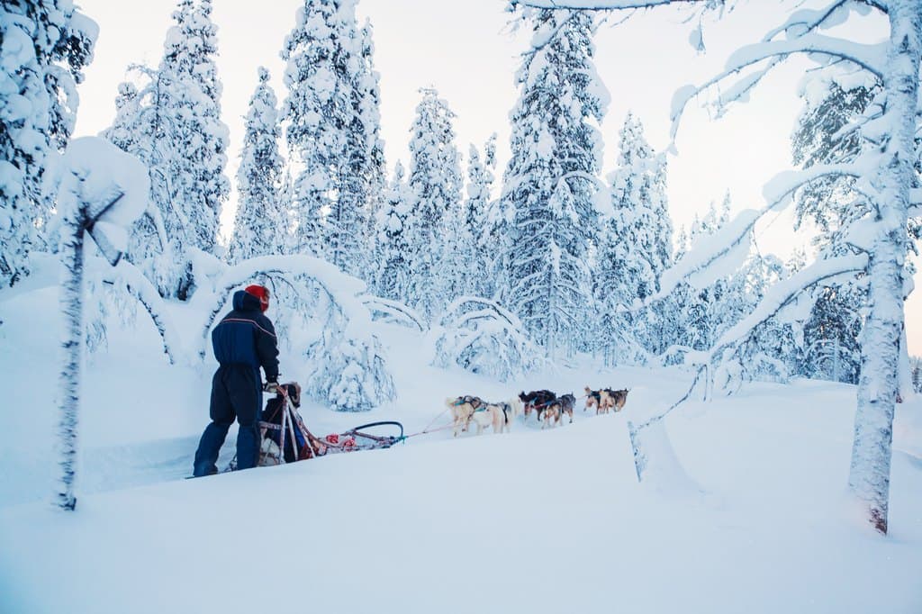 Finnish Winter Wonderland- 5 Days Tour with Santa Claus Village — photo 3