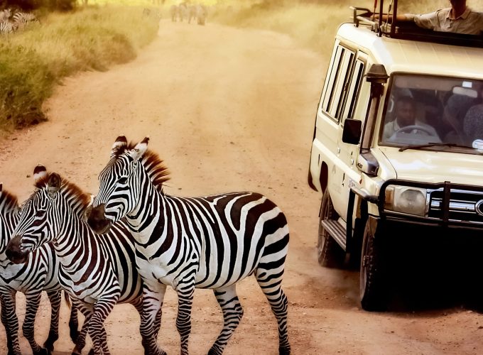 kenya safari - 4 nights 5 days - adventure tourism - wild life